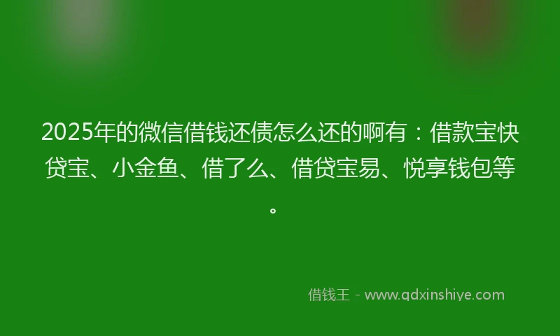 2025年的微信借钱还债怎么还的啊有：借款宝快贷宝、小金鱼、借了么、借贷宝易、悦享钱包等。