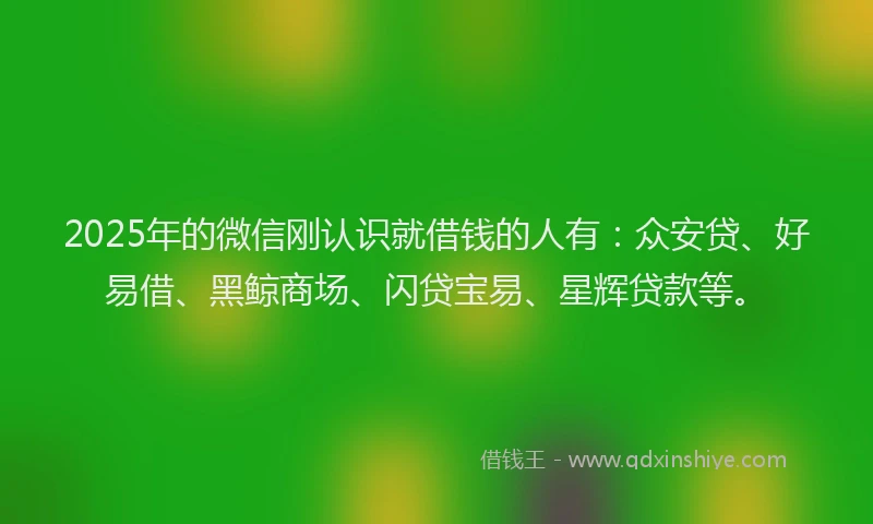 2025年的微信刚认识就借钱的人有：众安贷、好易借、黑鲸商场、闪贷宝易、星辉贷款等。