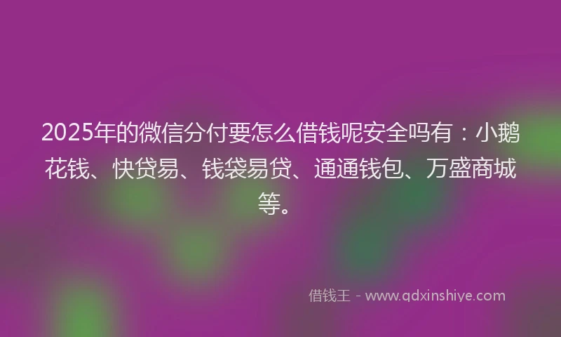 2025年的微信分付要怎么借钱呢安全吗有：小鹅花钱、快贷易、钱袋易贷、通通钱包、万盛商城等。