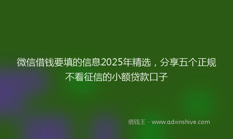 微信借钱要填的信息2025年精选，分享五个正规不看征信的小额贷款口子