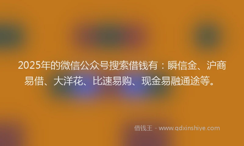 2025年的微信公众号搜索借钱有：瞬信金、沪商易借、大洋花、比速易购、现金易融通途等。