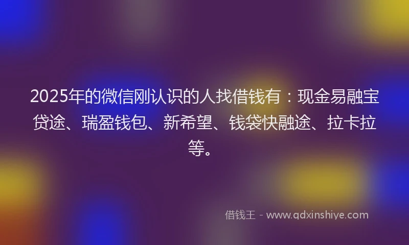 2025年的微信刚认识的人找借钱有：现金易融宝贷途、瑞盈钱包、新希望、钱袋快融途、拉卡拉等。