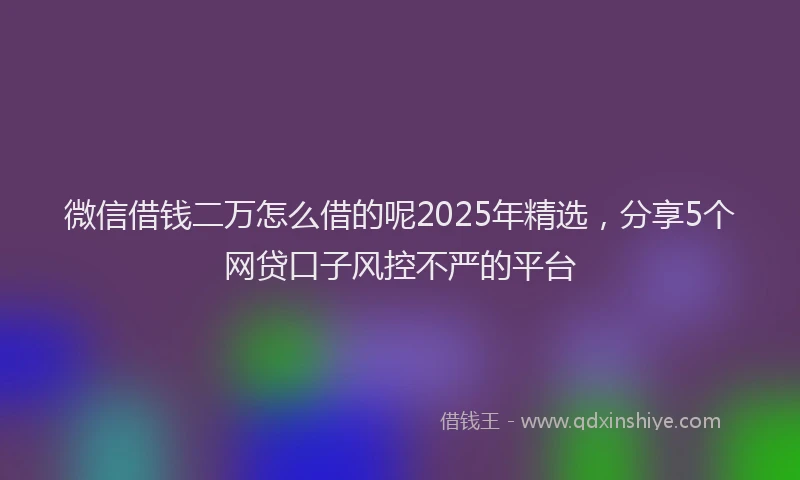 微信借钱二万怎么借的呢2025年精选，分享5个网贷口子风控不严的平台