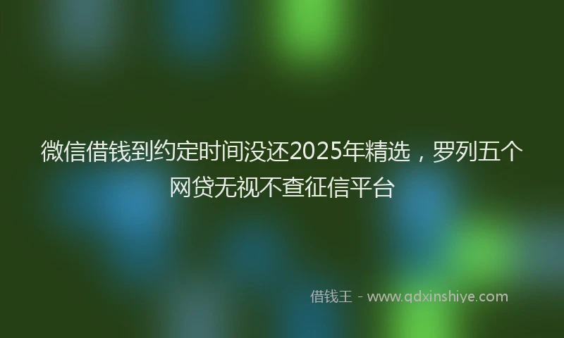 微信借钱到约定时间没还2025年精选，罗列五个网贷无视不查征信平台