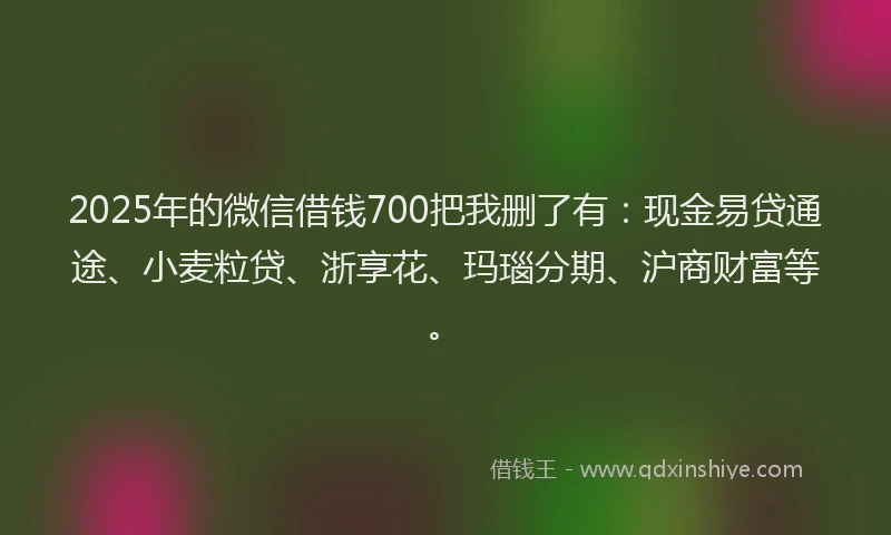 2025年的微信借钱700把我删了有：现金易贷通途、小麦粒贷、浙享花、玛瑙分期、沪商财富等。