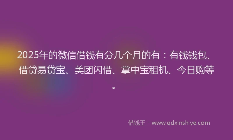 2025年的微信借钱有分几个月的有:有钱钱包、借贷易贷宝、美团闪借、掌中宝租机、今日购等。