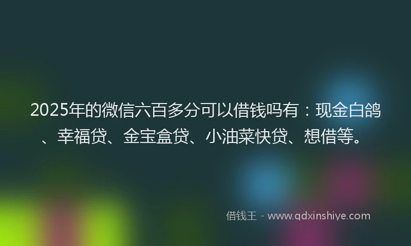 2025年的微信六百多分可以借钱吗有：现金白鸽、幸福贷、金宝盒贷、小油菜快贷、想借等。