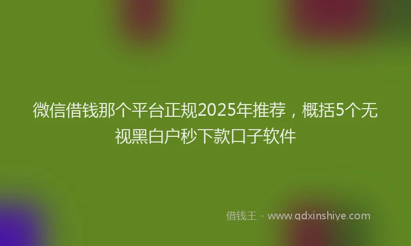 微信借钱那个平台正规2025年推荐，概括5个无视黑白户秒下款口子软件