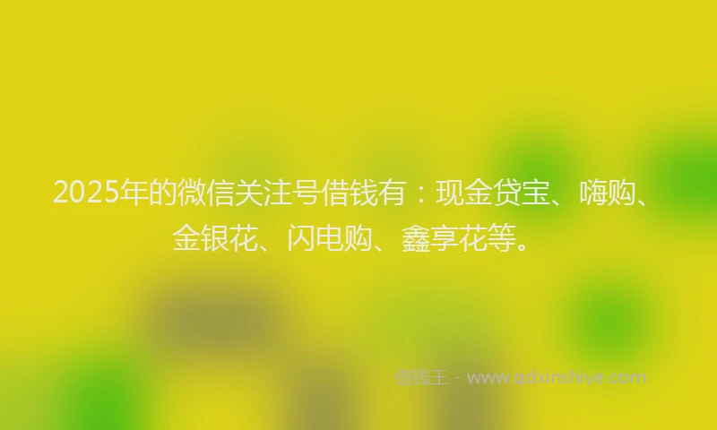 2025年的微信关注号借钱有：现金贷宝、嗨购、金银花、闪电购、鑫享花等。