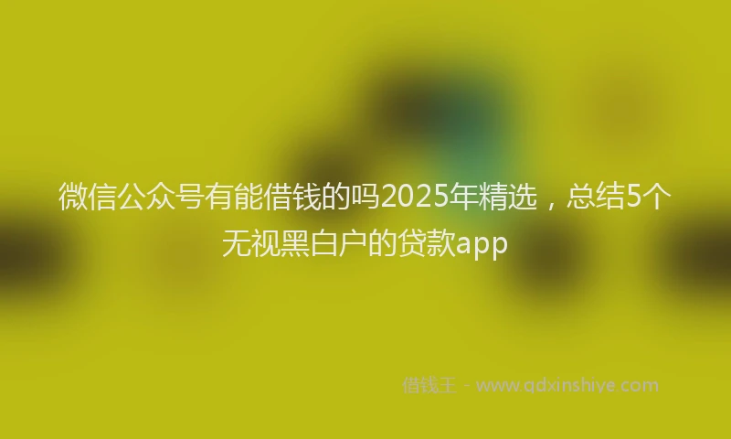 微信公众号有能借钱的吗2025年精选，总结5个无视黑白户的贷款app