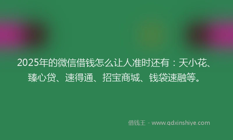 2025年的微信借钱怎么让人准时还有：天小花、臻心贷、速得通、招宝商城、钱袋速融等。