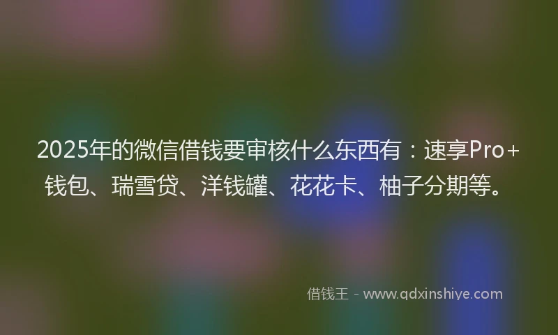 2025年的微信借钱要审核什么东西有：速享Pro+钱包、瑞雪贷、洋钱罐、花花卡、柚子分期等。