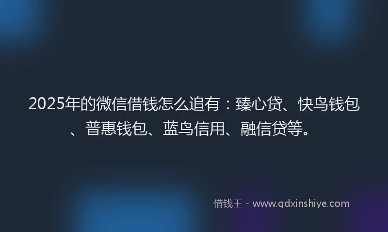 2025年的微信借钱怎么追有：臻心贷、快鸟钱包、普惠钱包、蓝鸟信用、融信贷等。