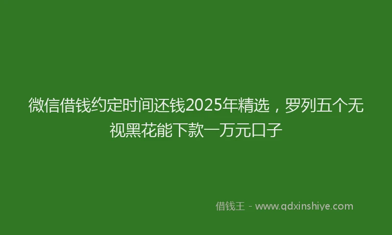微信借钱约定时间还钱2025年精选，罗列五个无视黑花能下款一万元口子