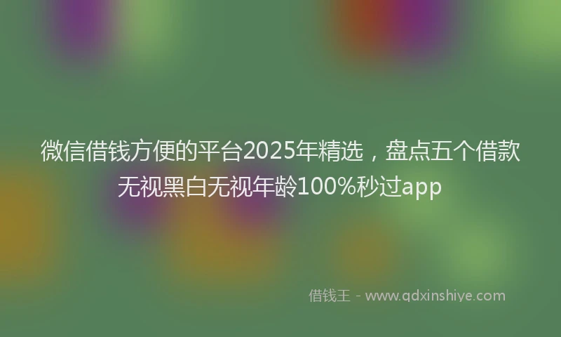 微信借钱方便的平台2025年精选，盘点五个借款无视黑白无视年龄100%秒过app