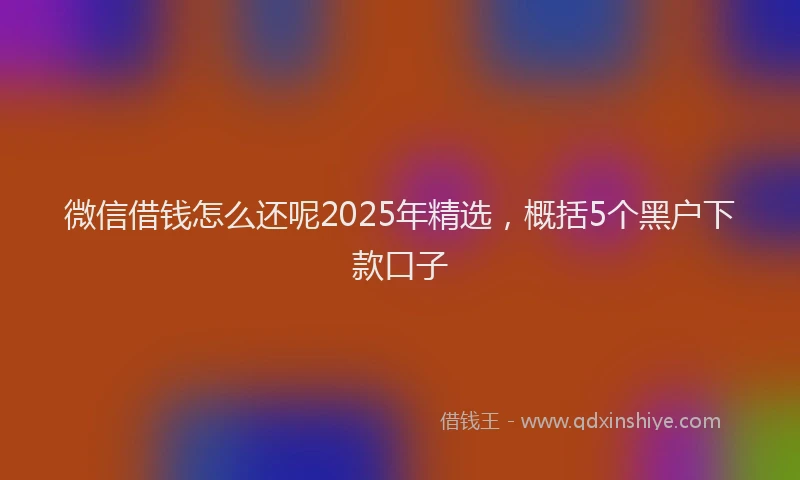 微信借钱怎么还呢2025年精选，概括5个黑户下款口子