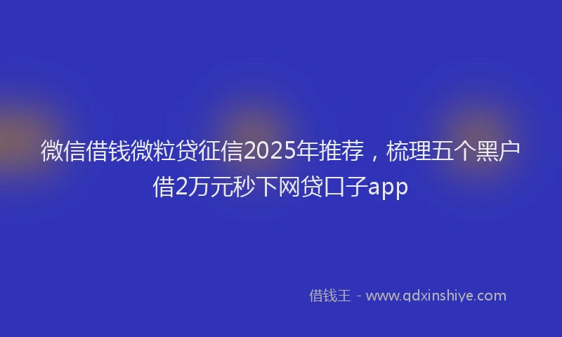 微信借钱微粒贷征信2025年推荐，梳理五个黑户借2万元秒下网贷口子app