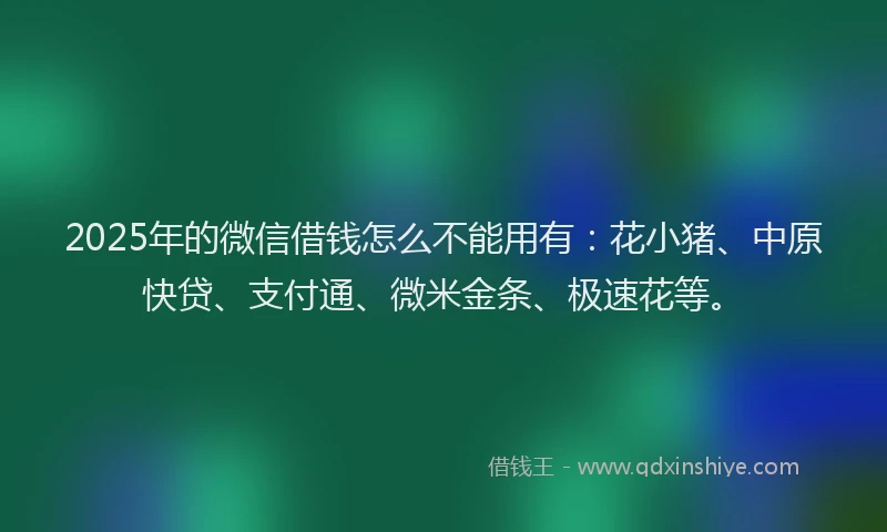 2025年的微信借钱怎么不能用有：花小猪、中原快贷、支付通、微米金条、极速花等。