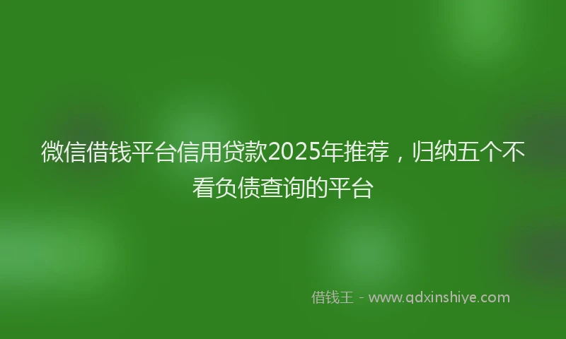 微信借钱平台信用贷款2025年推荐，归纳五个不看负债查询的平台