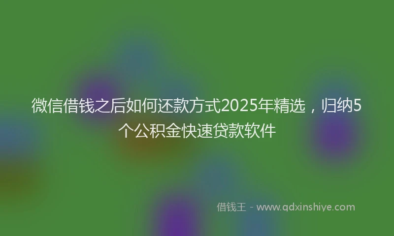 微信借钱之后如何还款方式2025年精选，归纳5个公积金快速贷款软件