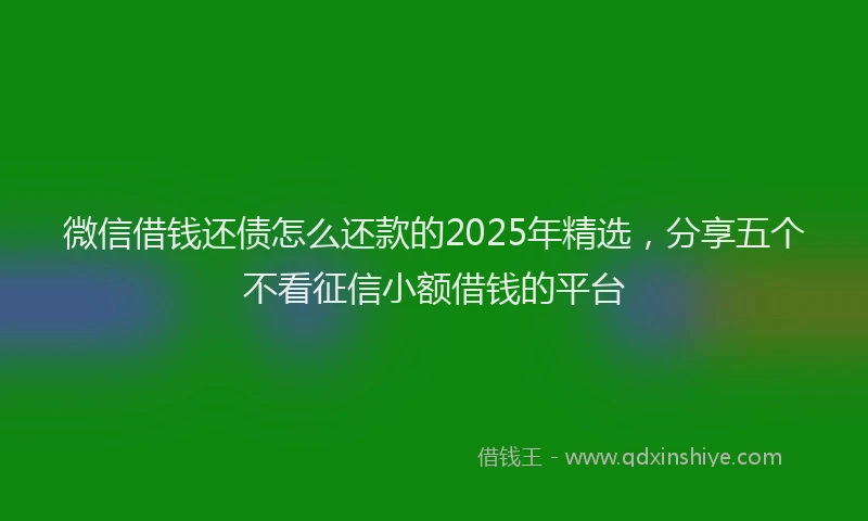 微信借钱还债怎么还款的2025年精选，分享五个不看征信小额借钱的平台