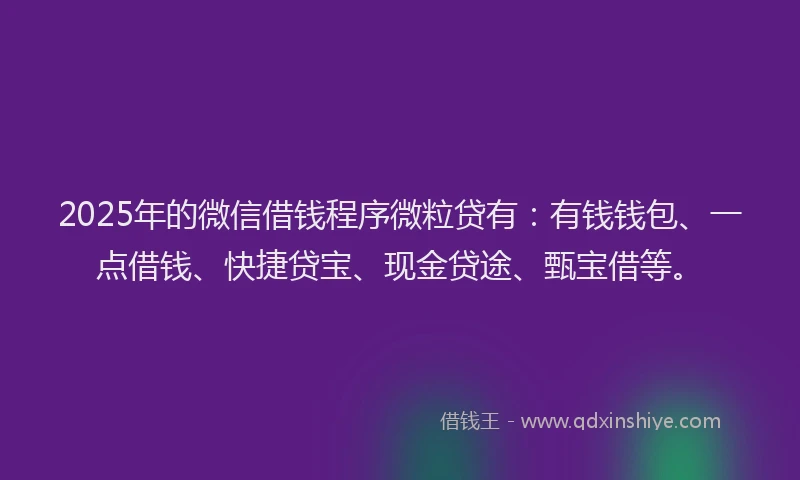 2025年的微信借钱程序微粒贷有：有钱钱包、一点借钱、快捷贷宝、现金贷途、甄宝借等。
