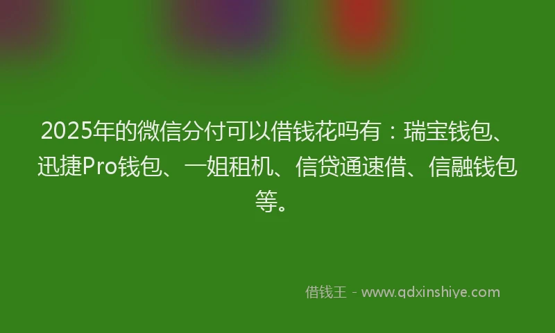 2025年的微信分付可以借钱花吗有：瑞宝钱包、迅捷Pro钱包、一姐租机、信贷通速借、信融钱包等。