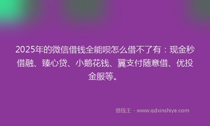 2025年的微信借钱全能呗怎么借不了有：现金秒借融、臻心贷、小鹅花钱、翼支付随意借、优投金服等。