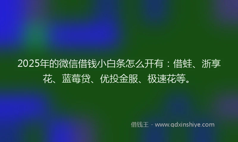 2025年的微信借钱小白条怎么开有：借蛙、浙享花、蓝莓贷、优投金服、极速花等。