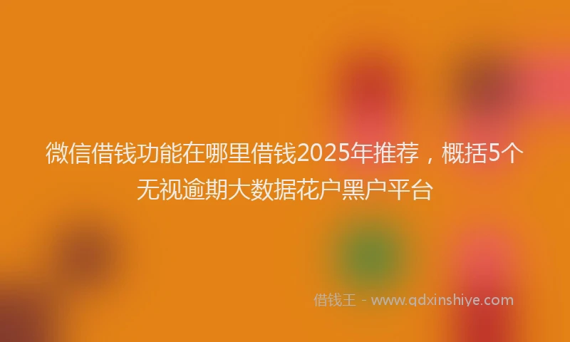 微信借钱功能在哪里借钱2025年推荐，概括5个无视逾期大数据花户黑户平台