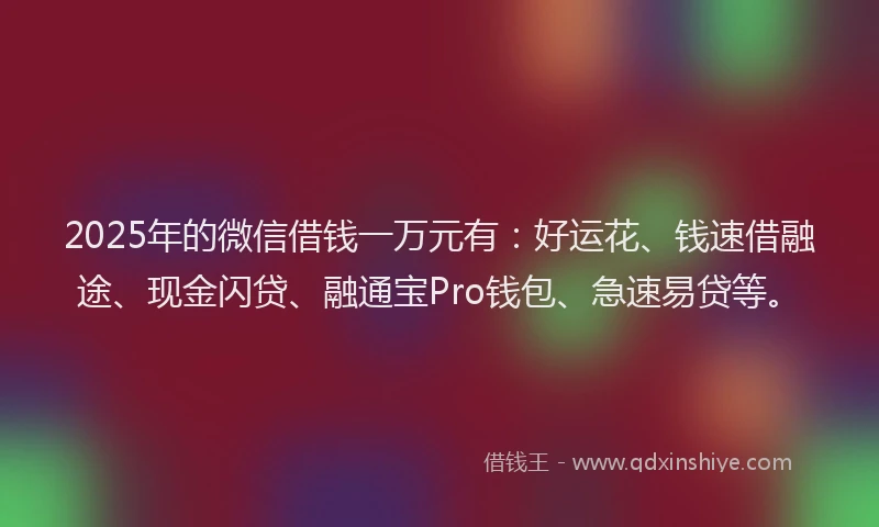 2025年的微信借钱一万元有：好运花、钱速借融途、现金闪贷、融通宝Pro钱包、急速易贷等。