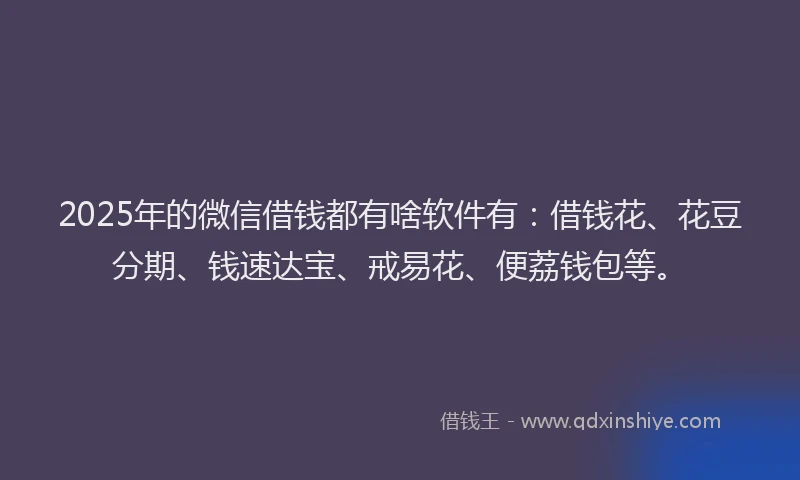 2025年的微信借钱都有啥软件有：借钱花、花豆分期、钱速达宝、戒易花、便荔钱包等。