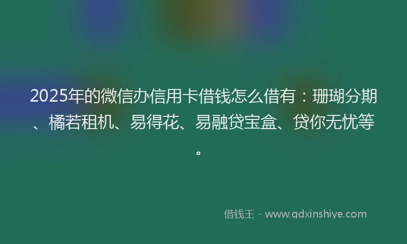 2025年的微信办信用卡借钱怎么借有：珊瑚分期、橘若租机、易得花、易融贷宝盒、贷你无忧等。