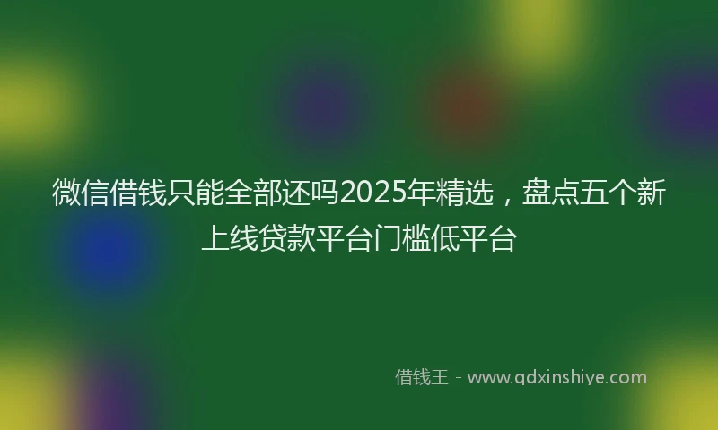 微信借钱只能全部还吗2025年精选，盘点五个新上线贷款平台门槛低平台