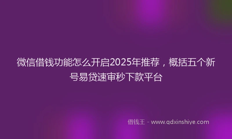 微信借钱功能怎么开启2025年推荐，概括五个新号易贷速审秒下款平台
