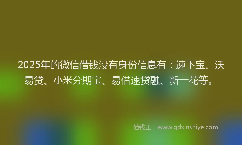 2025年的微信借钱没有身份信息有：速下宝、沃易贷、小米分期宝、易借速贷融、新一花等。