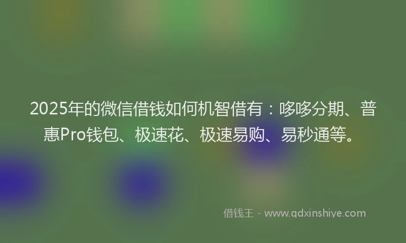 2025年的微信借钱如何机智借有：哆哆分期、普惠Pro钱包、极速花、极速易购、易秒通等。