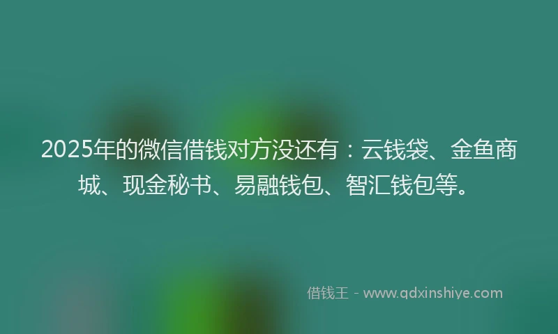 2025年的微信借钱对方没还有：云钱袋、金鱼商城、现金秘书、易融钱包、智汇钱包等。