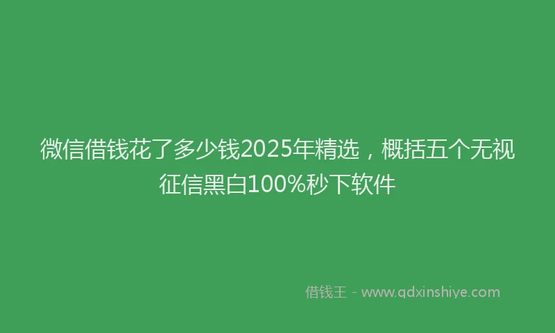 微信借钱花了多少钱2025年精选，概括五个无视征信黑白100%秒下软件