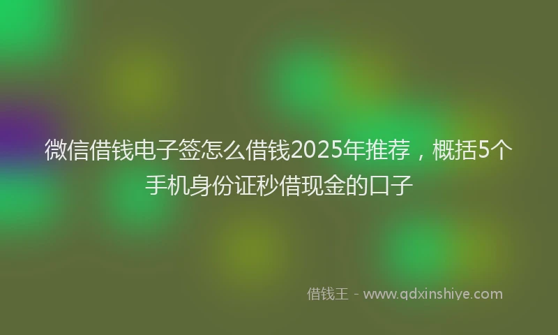 微信借钱电子签怎么借钱2025年推荐，概括5个手机身份证秒借现金的口子