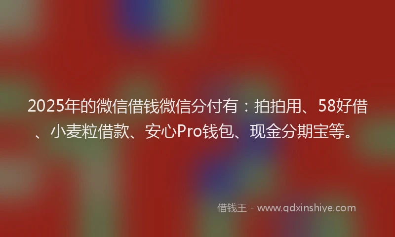2025年的微信借钱微信分付有：拍拍用、58好借、小麦粒借款、安心Pro钱包、现金分期宝等。