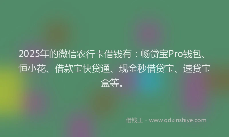 2025年的微信农行卡借钱有：畅贷宝Pro钱包、恒小花、借款宝快贷通、现金秒借贷宝、速贷宝盒等。