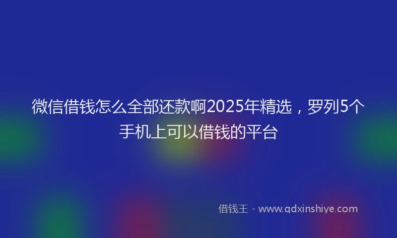 微信借钱怎么全部还款啊2025年精选，罗列5个手机上可以借钱的平台