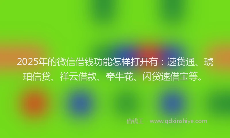 2025年的微信借钱功能怎样打开有：速贷通、琥珀信贷、祥云借款、牵牛花、闪贷速借宝等。