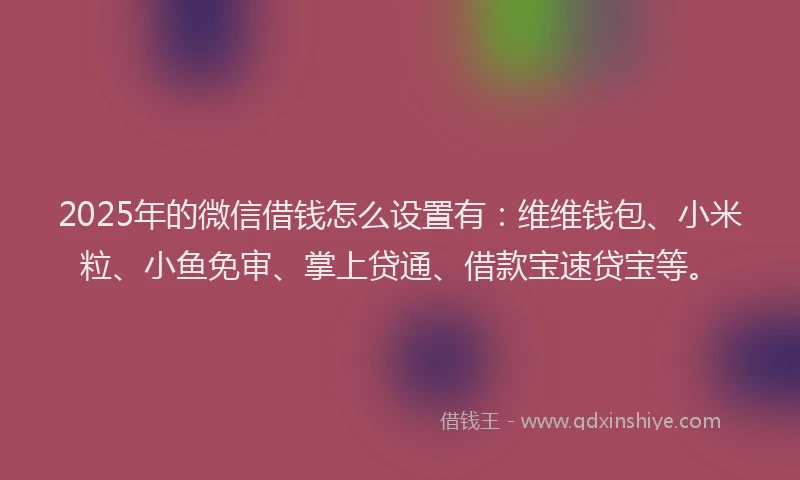2025年的微信借钱怎么设置有：维维钱包、小米粒、小鱼免审、掌上贷通、借款宝速贷宝等。