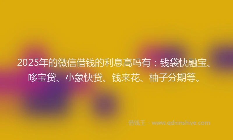 2025年的微信借钱的利息高吗有：钱袋快融宝、哆宝贷、小象快贷、钱来花、柚子分期等。