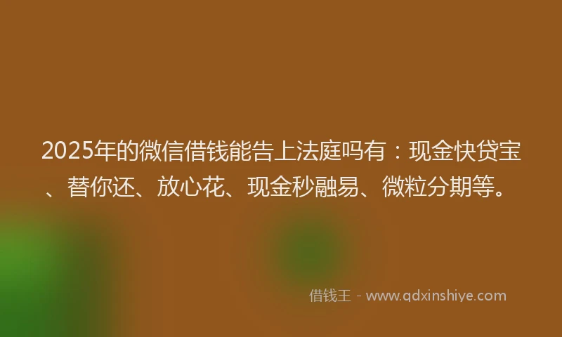 2025年的微信借钱能告上法庭吗有：现金快贷宝、替你还、放心花、现金秒融易、微粒分期等。