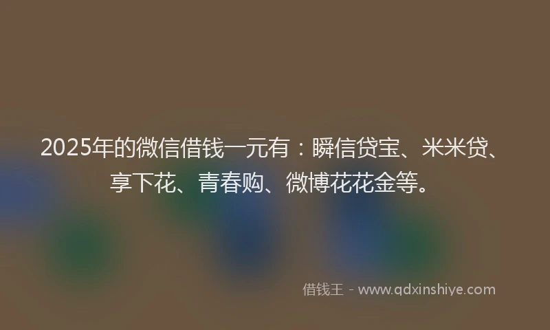2025年的微信借钱一元有：瞬信贷宝、米米贷、享下花、青春购、微博花花金等。