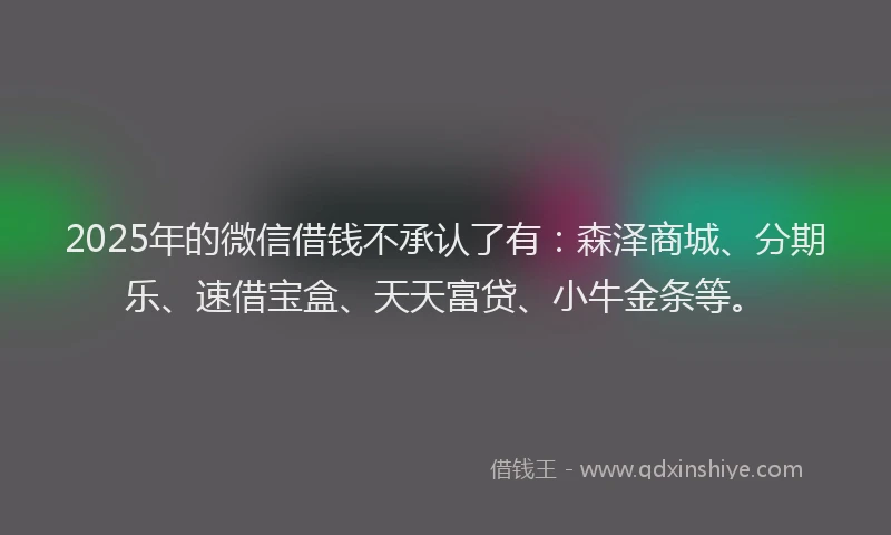 2025年的微信借钱不承认了有：森泽商城、分期乐、速借宝盒、天天富贷、小牛金条等。