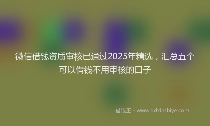 微信借钱资质审核已通过2025年精选，汇总五个可以借钱不用审核的口子